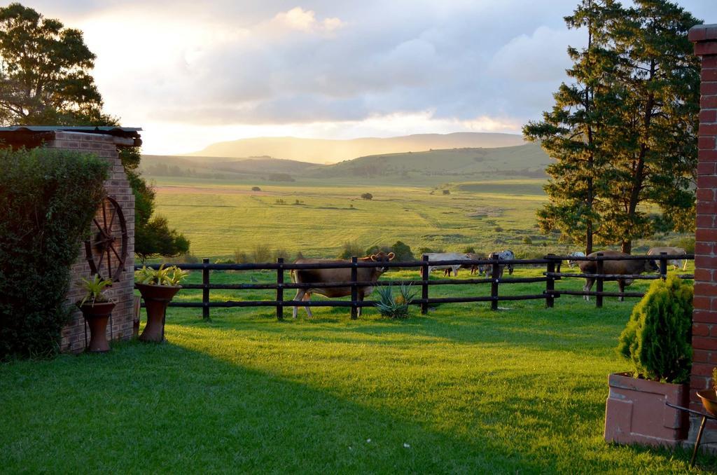 Petra'S Country Guesthouse Фрайхайд Екстериор снимка